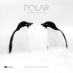 Mémoires des Glaces : POLAR - de Dominique & Olivier Larrey