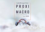 Fotografía de primeros planos y macrofotografía: las imágenes más bellas del año - edición 2025