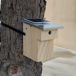 JAMA - Nichoir connecté avec caméra WiFi solaire – fabrication française