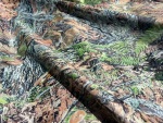 TRAGOPAN - 150D induction polyester fabric - by the meter