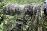 TRAGOPAN - Echarpe filet camo kaki