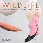 WILDLIFE PHOTOGRAPHER OF THE YEAR - 2025